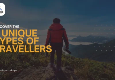 7 Unique Types of Travellers