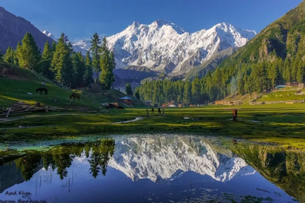 Hunza-Fairy-Meadows-Tour-Packages