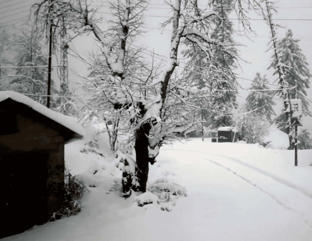 Nathiagali-Ture-and-Trips-in-Winter