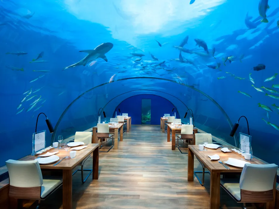 Underwater Restaurant. Dine with the Fish