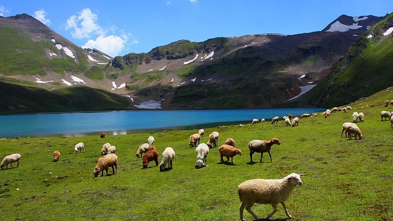 Deosai National Park