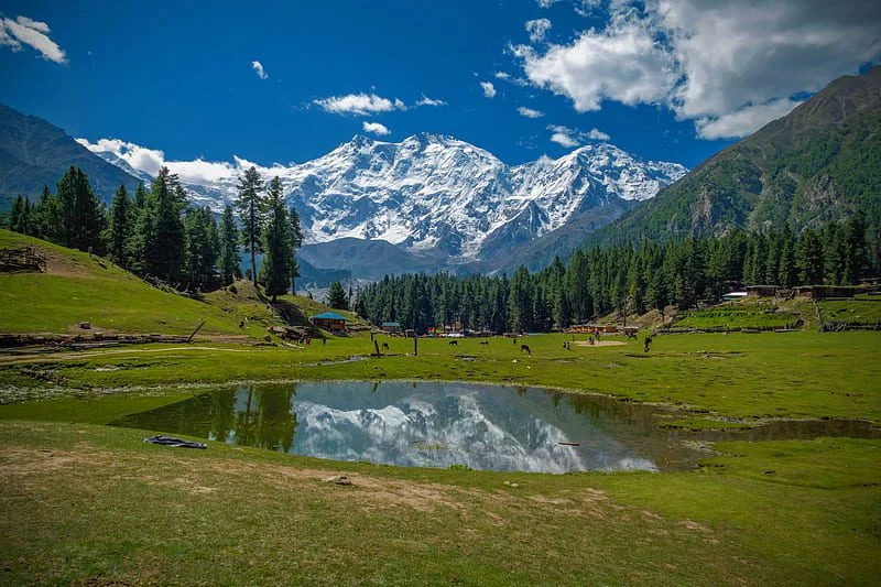 Fairy Meadows trip