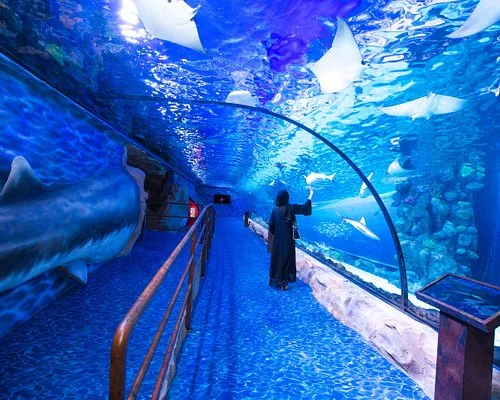 dubai-aquarium-underwater