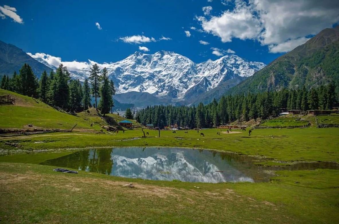 Fairy Meadows 4
