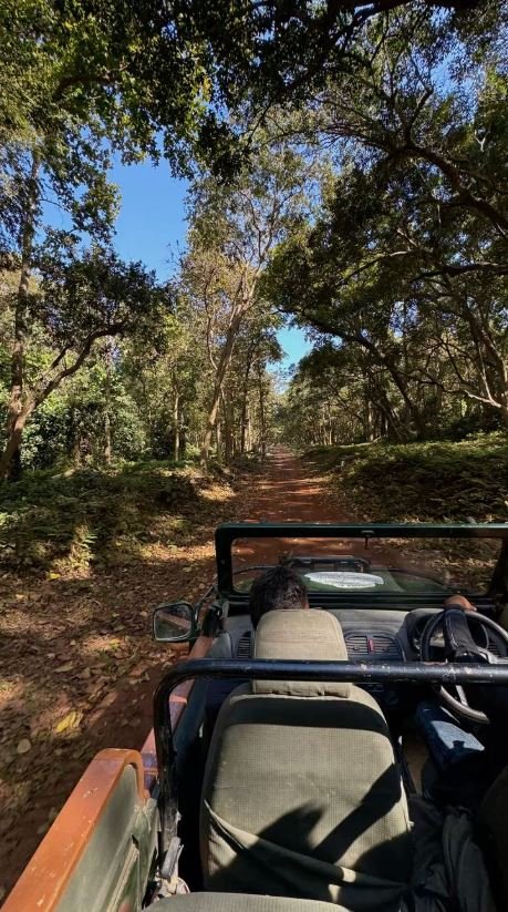 Jeep Safari