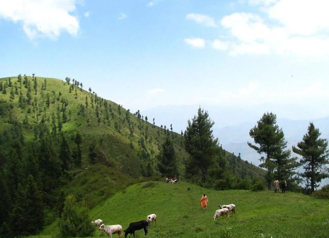 Nathia Gali 2