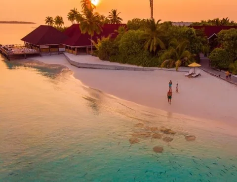 Sun Island. The Tranquil Paradise of Maldives